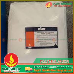 POLYMER ANION A1110 KMR BAO 25KG ANH